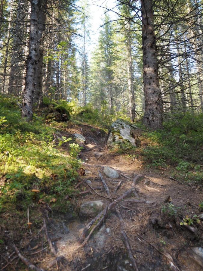 Han Sylte Heimen Fauske Esterno foto
